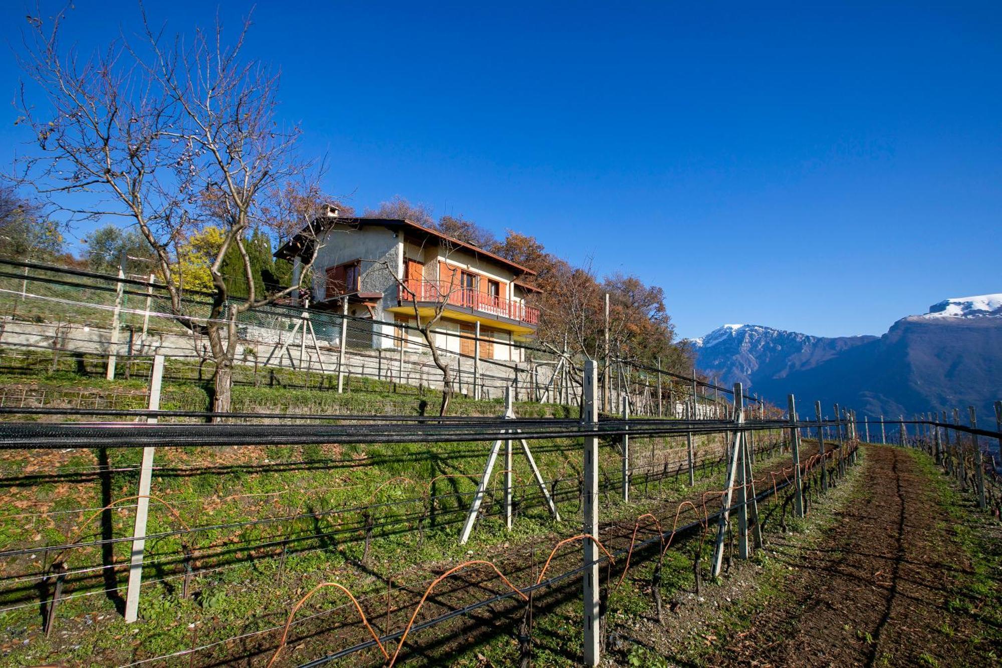 Balcone Panoramico Sul Garda - Happy Rentals Tremosine Экстерьер фото